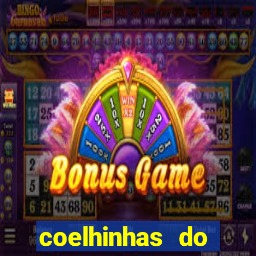 coelhinhas do brasil recife
